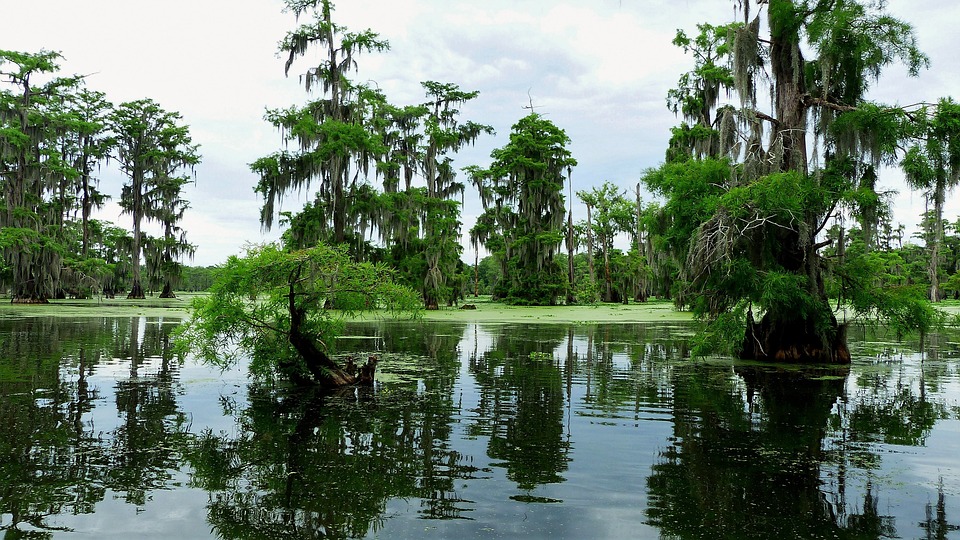 Louisiana state (USA)